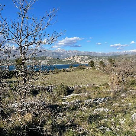 Villa Planita Dalmacija Novigrad  Kültér fotó