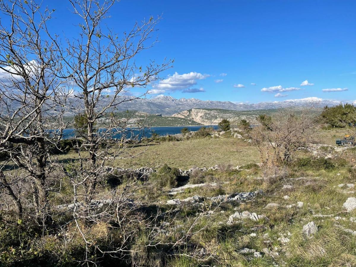 Villa Planita Dalmacija Novigrad  Kültér fotó